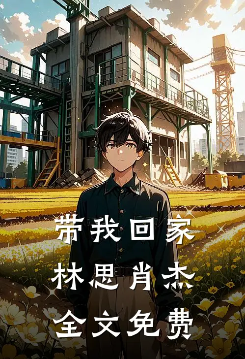 带我回家林思肖杰全文免费