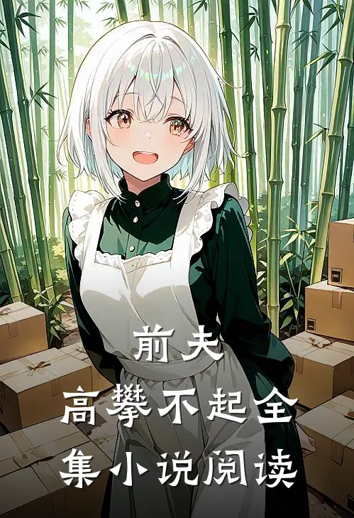 前夫 ，高攀不起全集小说阅读
