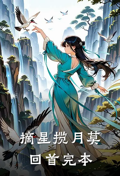 摘星揽月莫回首完本