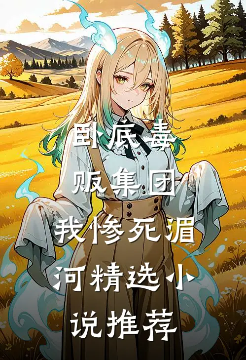 卧底毒贩集团，我惨死湄河精选小说推荐