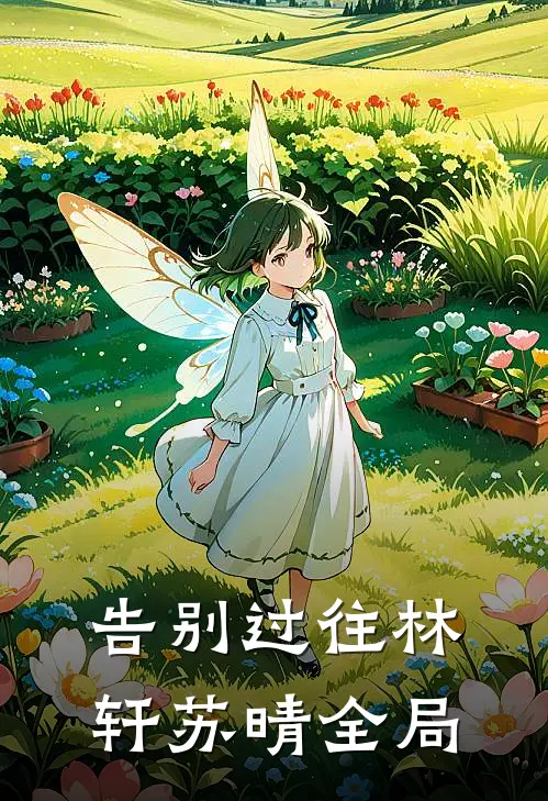 告别过往林轩苏晴全局