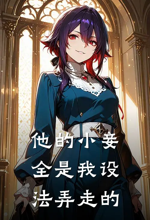 他的小妾全是我设法弄走的