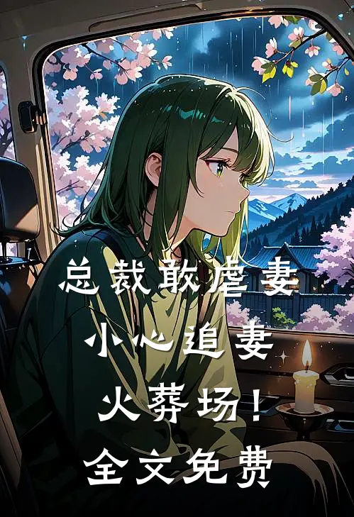 总裁敢虐妻,小心追妻火葬场!全文免费