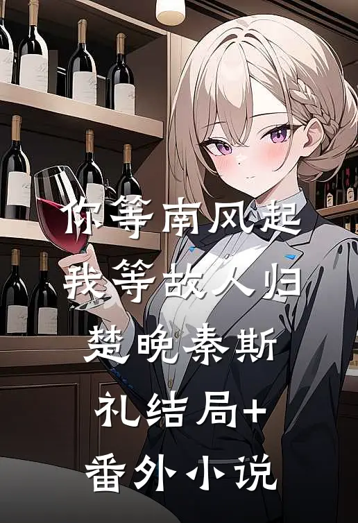你等南风起，我等故人归楚晚秦斯礼结局+番外小说