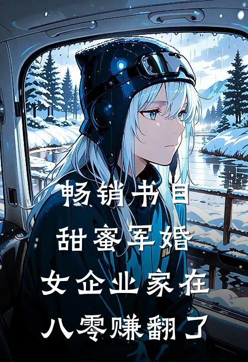畅销书目甜蜜军婚：女企业家在八零赚翻了