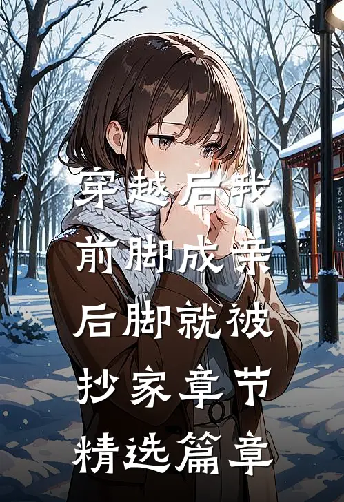 穿越后我前脚成亲，后脚就被抄家章节精选篇章
