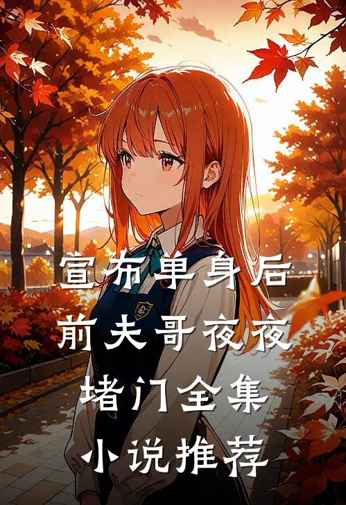 宣布单身后，前夫哥夜夜堵门全集小说推荐