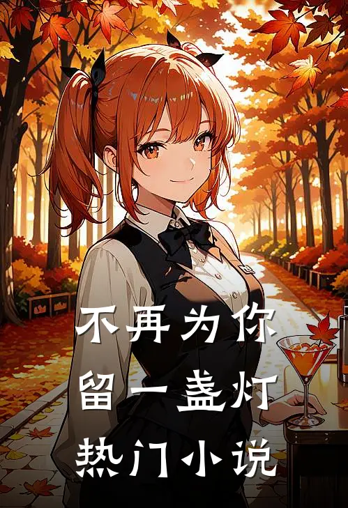 不再为你留一盏灯热门小说