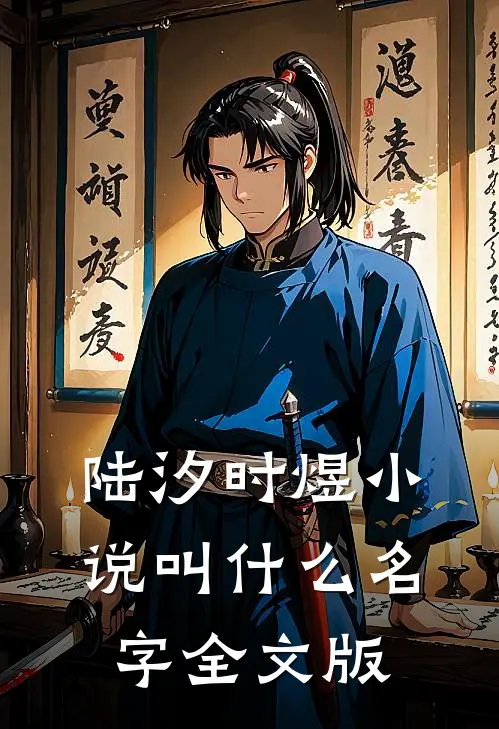 陆汐时煜小说叫什么名字全文版