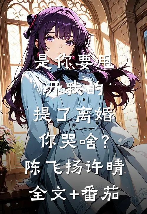 是你要甩开我的，提了离婚你哭啥？陈飞扬许晴全文+番茄