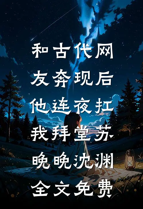 和古代网友奔现后，他连夜扛我拜堂苏晚晚沈渊全文免费