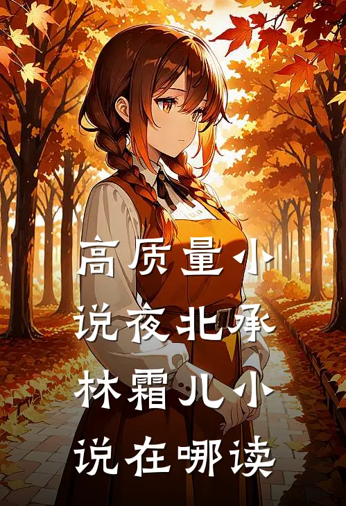 高质量小说夜北承林霜儿小说在哪读