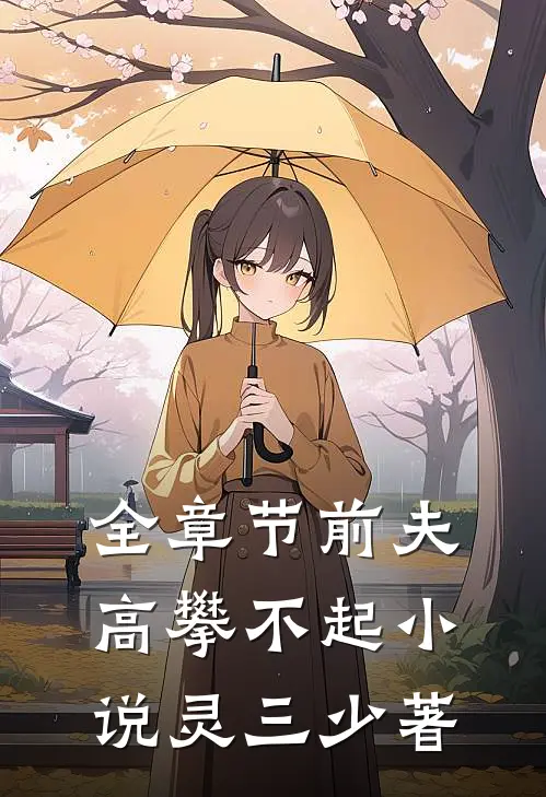 全章节前夫,高攀不起 小说灵三少著