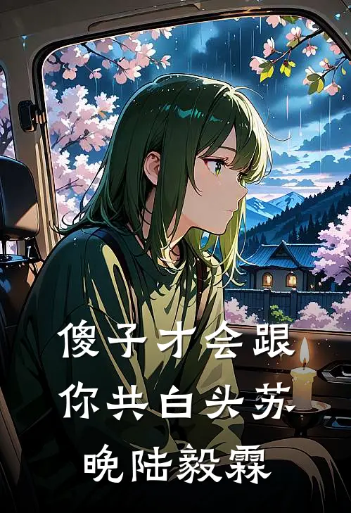 傻子才会跟你共白头(苏晚陆毅霖)
