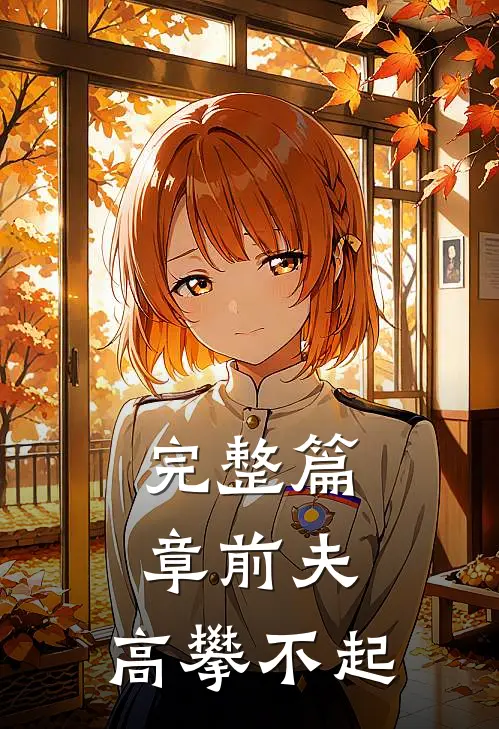 完整篇章前夫 ，高攀不起