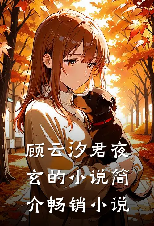 顾云汐君夜玄的小说简介畅销小说