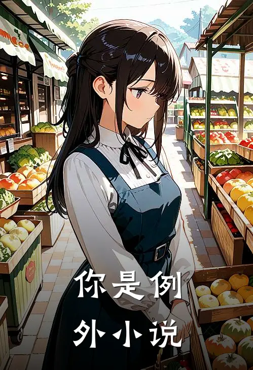 你是例外小说