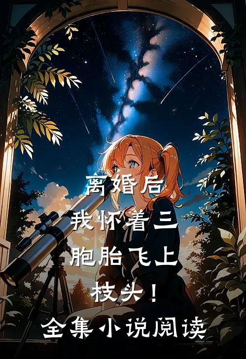 离婚后，我怀着三胞胎飞上枝头！全集小说阅读