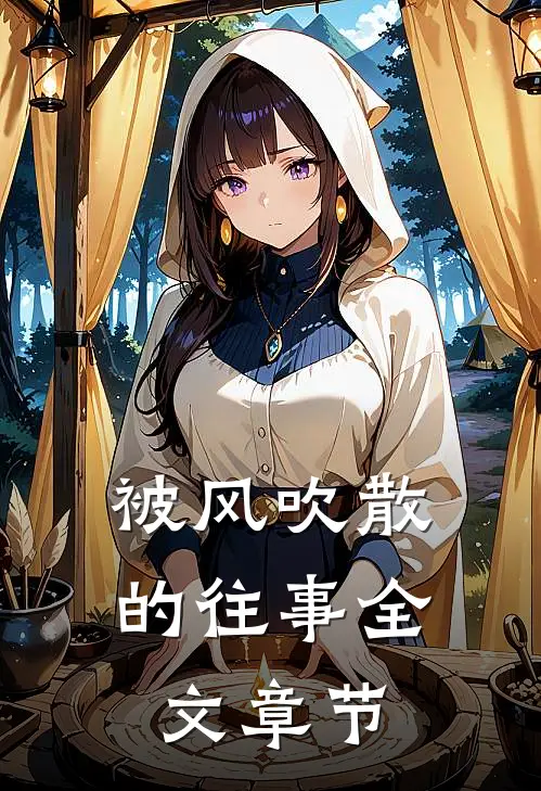被风吹散的往事全文章节