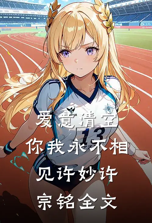 爱意清空，你我永不相见许妙许宗铭全文