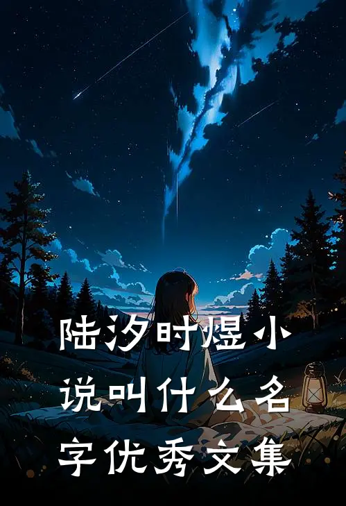 陆汐时煜小说叫什么名字优秀文集
