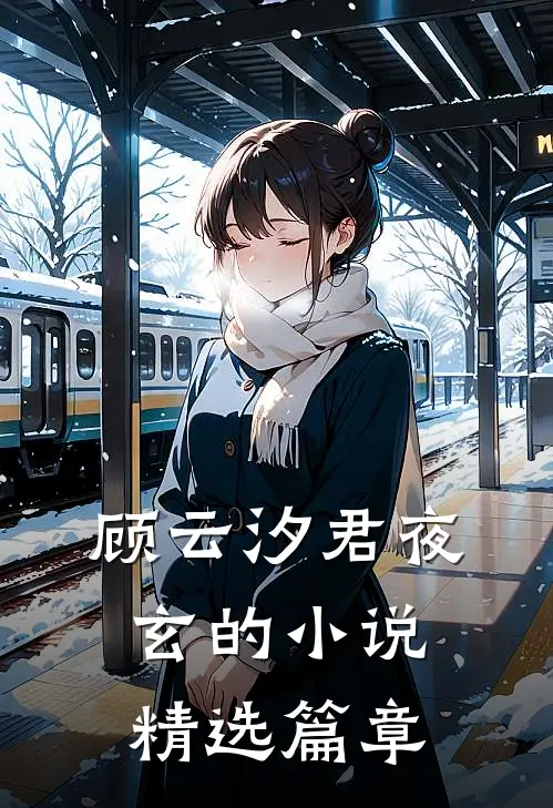 顾云汐君夜玄的小说精选篇章