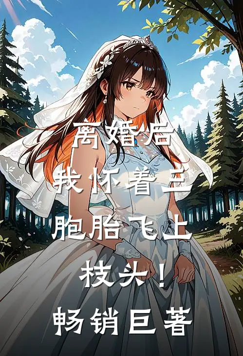 离婚后，我怀着三胞胎飞上枝头！畅销巨著