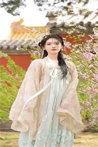 爱意舍离林晚枫傅寒声结局+番外