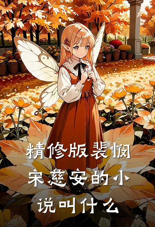 精修版裴悯宋慈安的小说叫什么