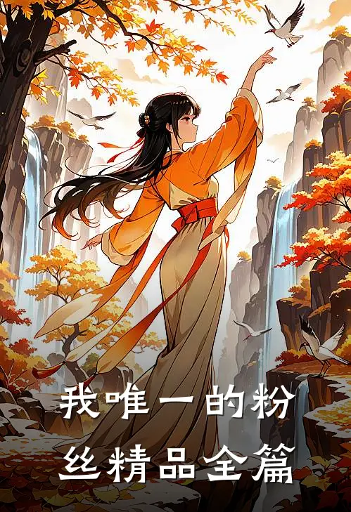 我唯一的粉丝精品全篇