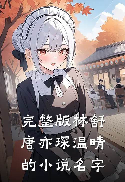 完整版林舒唐亦琛温晴的小说名字