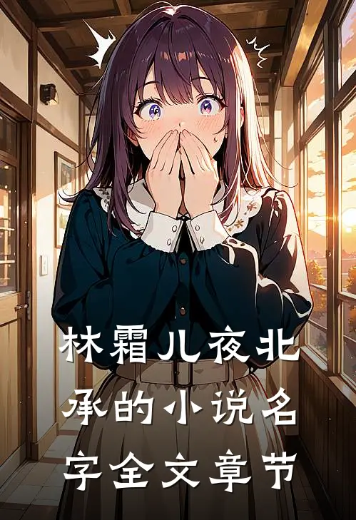 林霜儿夜北承的小说名字全文章节