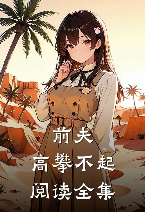 前夫，高攀不起阅读全集
