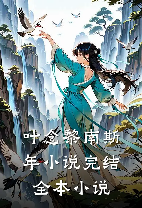 叶念黎南斯年小说完结全本小说