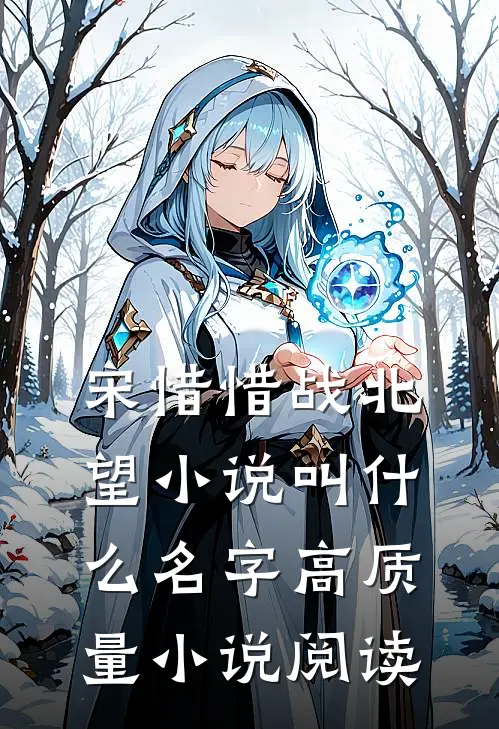 宋惜惜战北望小说叫什么名字高质量小说阅读