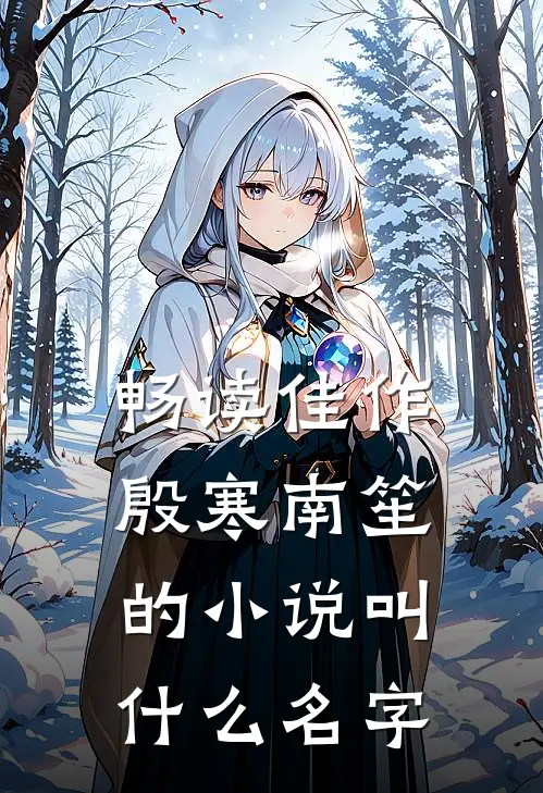 畅读佳作殷寒南笙的小说叫什么名字