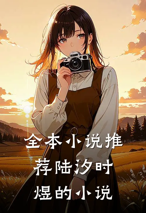 全本小说推荐陆汐时煜的小说