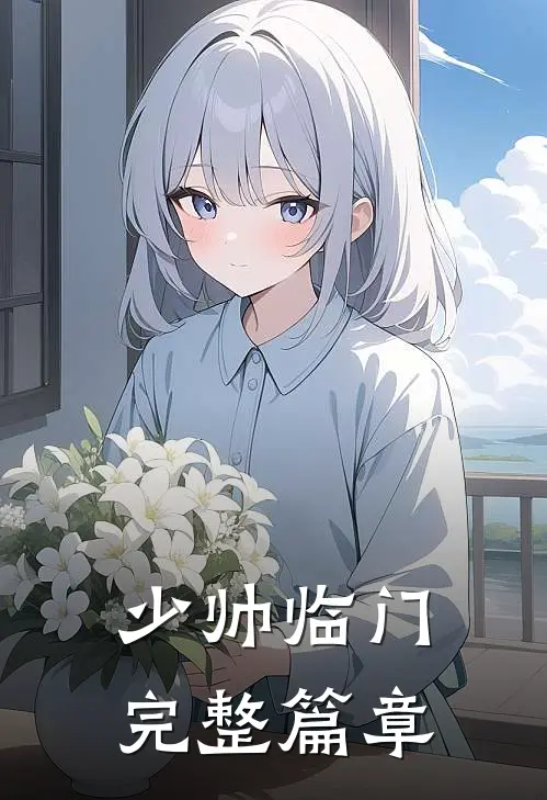 少帅临门完整篇章