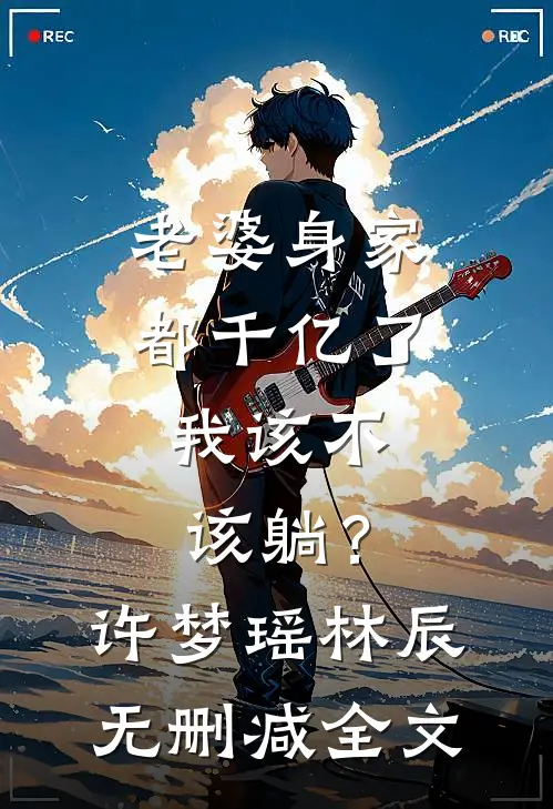 老婆身家都千亿了，我该不该躺？许梦瑶林辰无删减全文