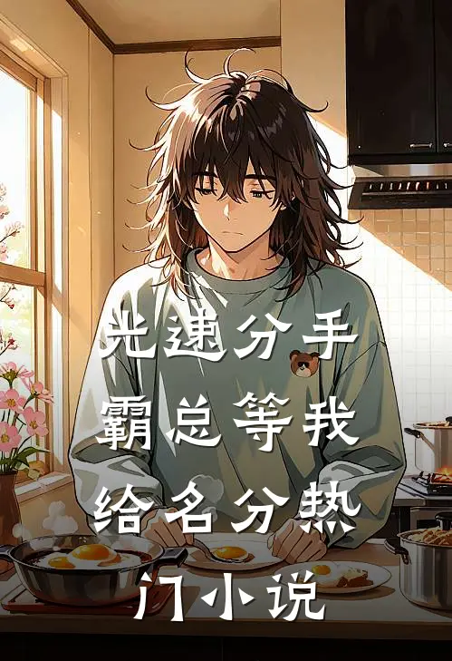 光速分手，霸总等我给名分热门小说