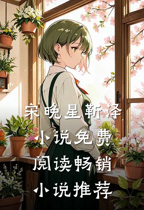宋晚星靳泽小说免费阅读畅销小说推荐