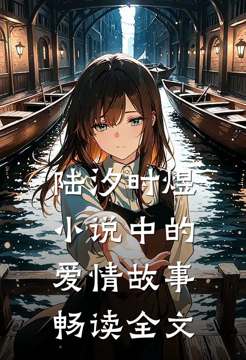陆汐时煜小说中的爱情故事畅读全文