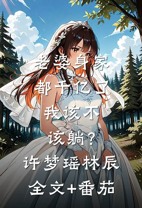 老婆身家都千亿了，我该不该躺？许梦瑶林辰全文+番茄