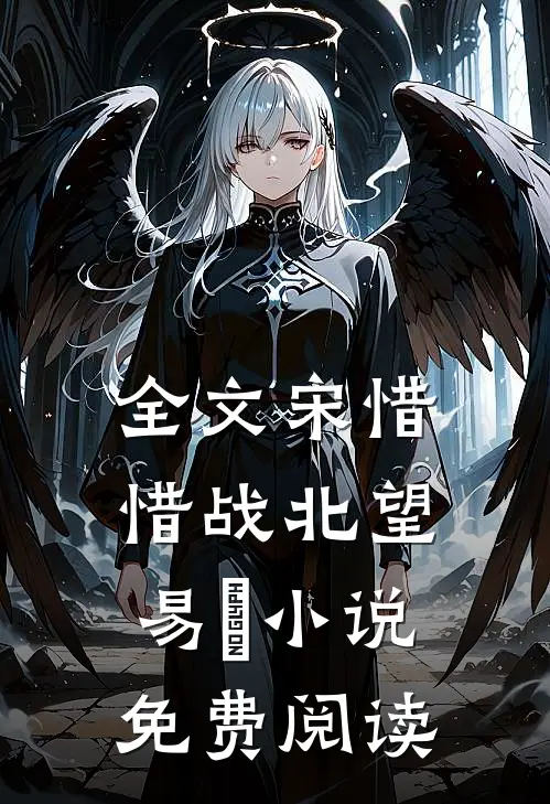 全文宋惜惜战北望易昉小说免费阅读