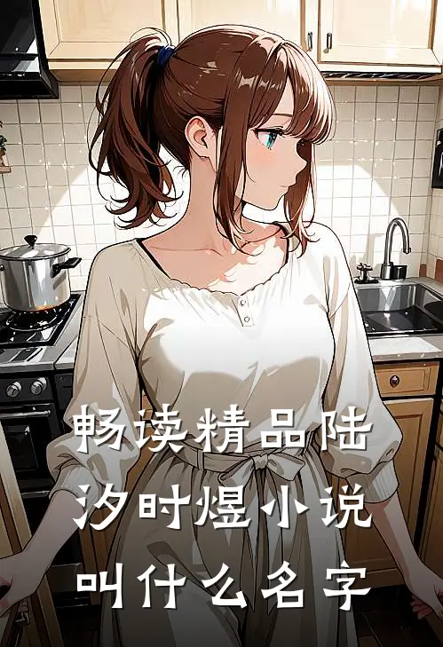 畅读精品陆汐时煜小说叫什么名字