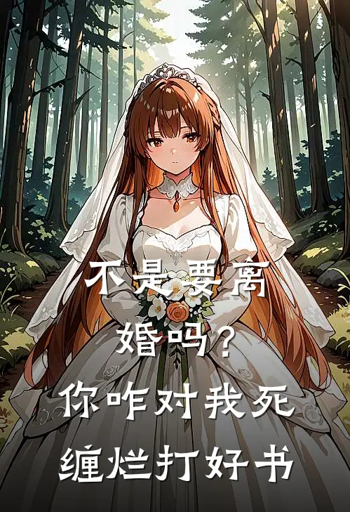 不是要离婚吗？你咋对我死缠烂打好书