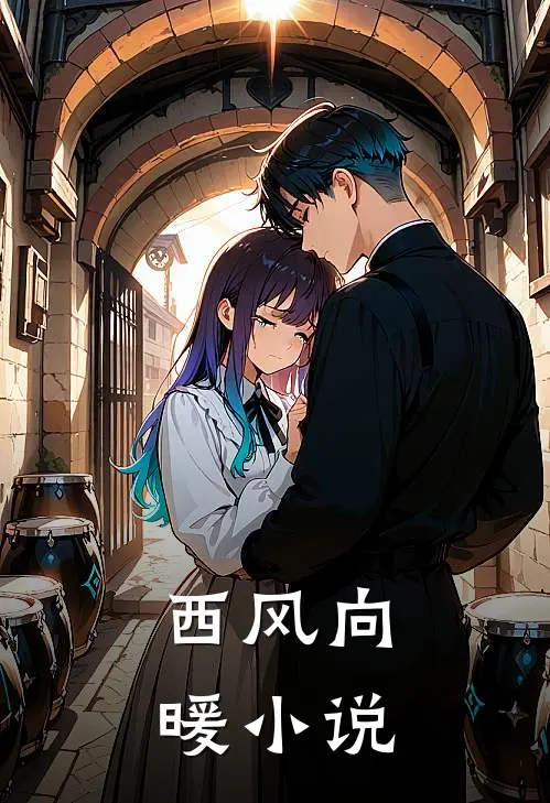 西风向暖小说