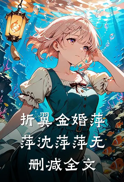 折翼金婚萍萍沈萍萍无删减全文