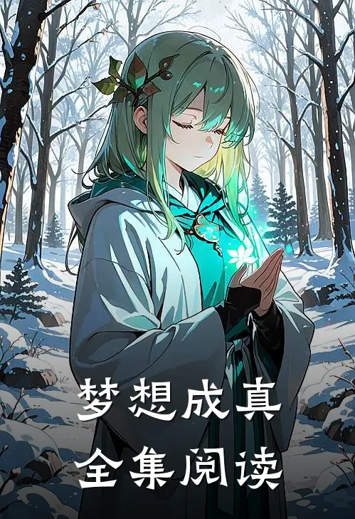 梦想成真全集阅读
