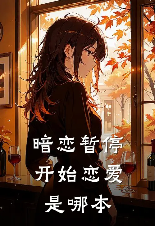 暗恋暂停，开始恋爱是哪本